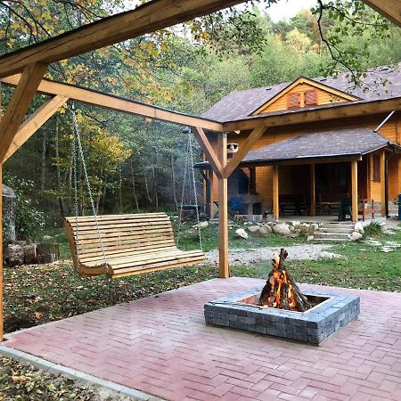 Chalet By The River Văliug Zewnętrze zdjęcie