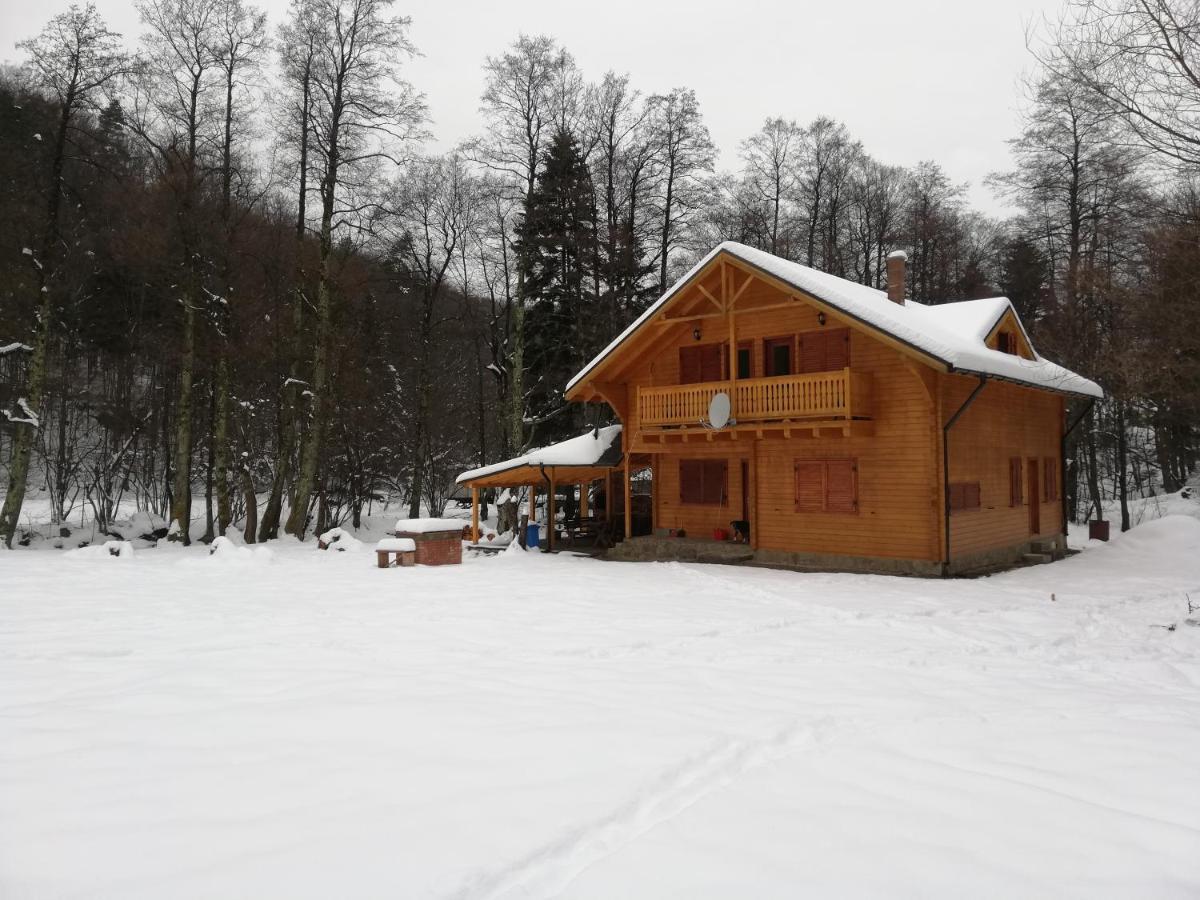 Chalet By The River Văliug Zewnętrze zdjęcie
