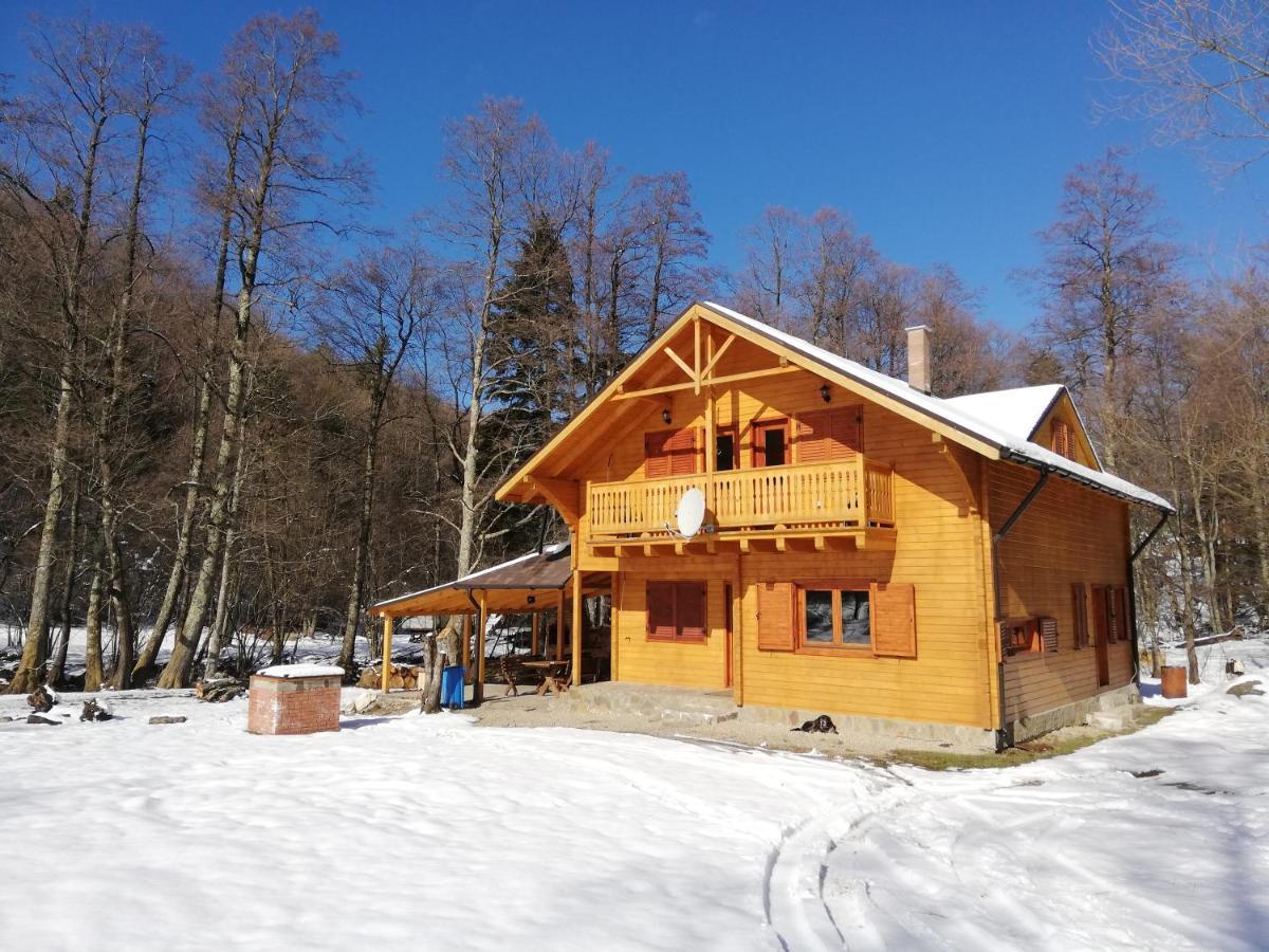Chalet By The River Văliug Zewnętrze zdjęcie
