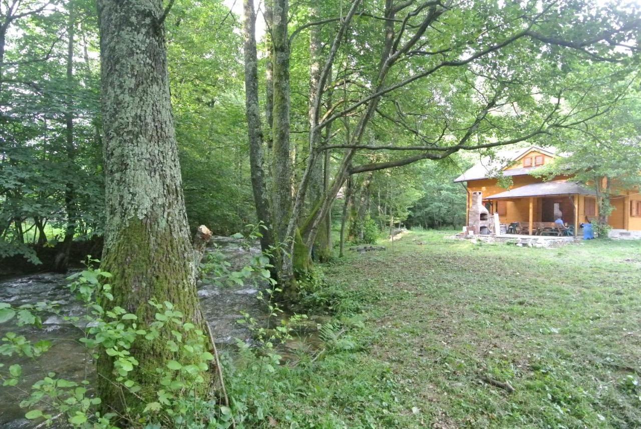 Chalet By The River Văliug Zewnętrze zdjęcie