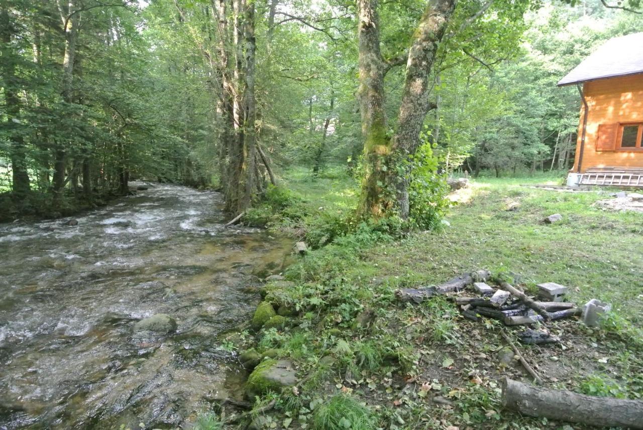 Chalet By The River Văliug Zewnętrze zdjęcie