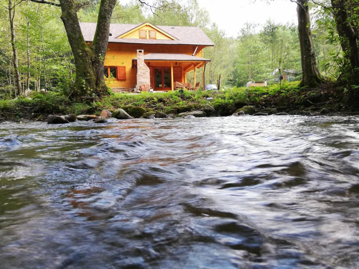 Chalet By The River Văliug Zewnętrze zdjęcie