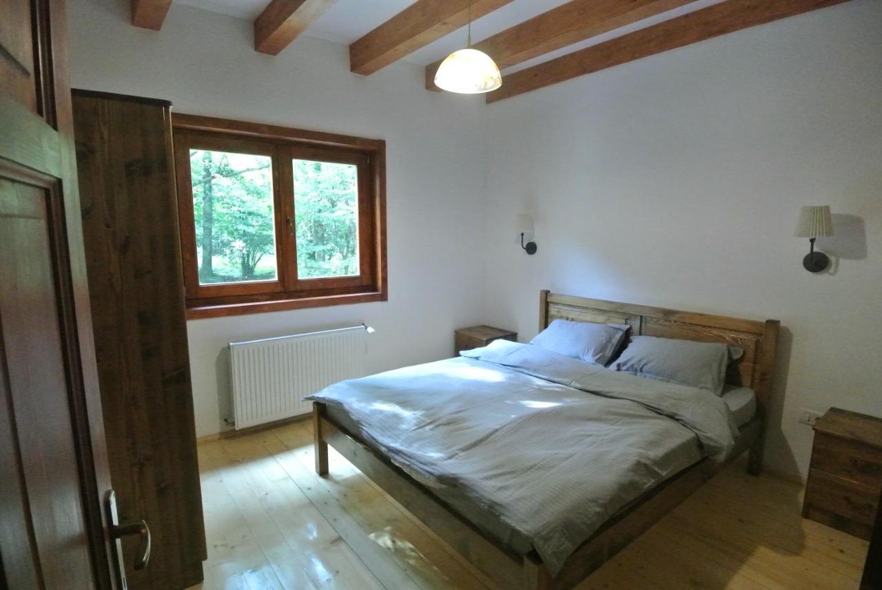 Chalet By The River Văliug Zewnętrze zdjęcie