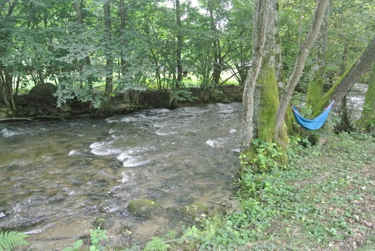 Chalet By The River Văliug Zewnętrze zdjęcie