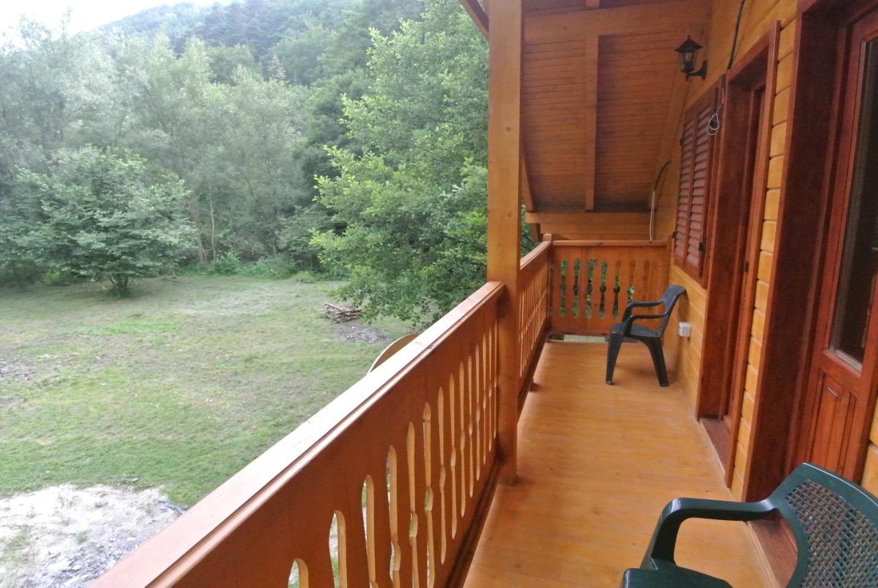Chalet By The River Văliug Zewnętrze zdjęcie